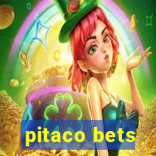 pitaco bets